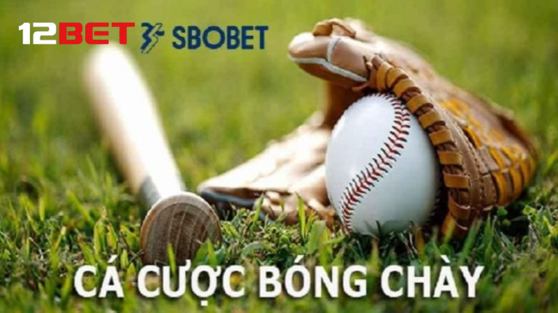 Nắm vững sân bãi, người chơi, luật cơ bản.