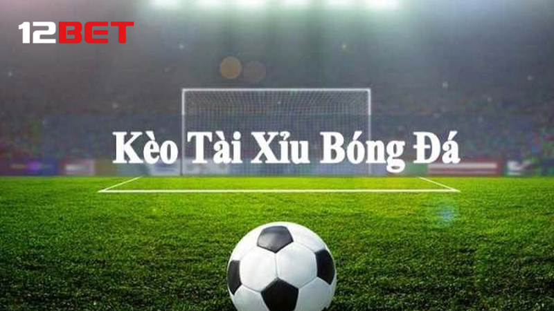 Xem phong độ, lịch sử, chọn thời điểm cược.